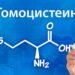 Гомоцистеин — скрытая угроза для сердца и сосудов: когда нужно сдавать анализ