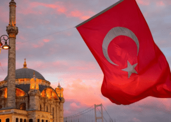 В Турции отпустили разработчика Ethereum