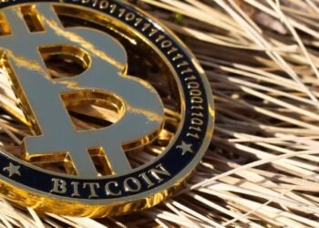 Институционалы не допустят падения BTC в 2026 году