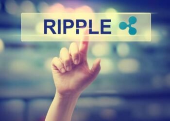 Киты закупились токенами XRP на $630 млн
