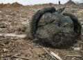 Россияне пытались наступать на Орехов, но потерпели поражение – глава Запорожской ОГА