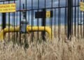 В Европарламенте поддержали предложение годом ранее запретить импорт газа из России