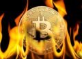 Розничные инвесторы потеряли $17 млрд на ажиотаже вокруг биткоина после обвала акций