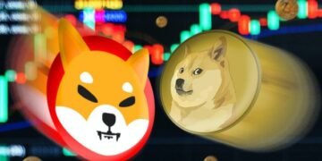 3 мемкоина, которыми закупаются киты