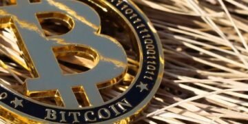 В Cryptoquant рассказали о последствиях падения открытого интереса к биткоину