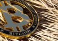 В CoinGecko указали на нулевую корреляцию биткоина и S&P 500