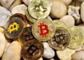 SpaceX переместила BTC на $257 млн