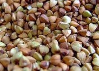 Украина в сезоне-2025 сократила производство гречки на 15%, однако оснований для ажиотажа нет — отраслевая ассоциация