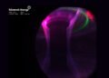 Как термоядерный синтез выглядит на вид? Tokamak Energy публикует видео из реактора