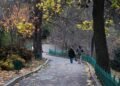 Солнце на западе, дожди на востоке: какой сегодня будет погода в Украине