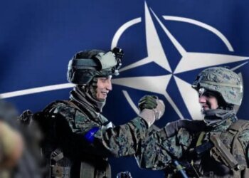 НАТО должно учиться у Украины, если не хочет проиграть войну с РФ, — шведский командующий