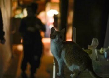 Отключение света в Украине учащаются: эксперт дал прогноз, как изменятся графики