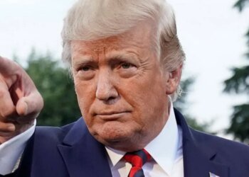 «Саммит по приглашениям», — СМИ выяснили, во что Трамп может превратить следующую встречу G20