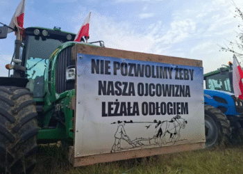 Польские фермеры вышли на протест против политики ЕС и импорта из Украины – фото