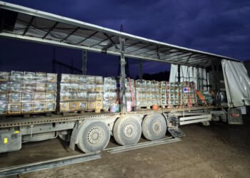 Литва передала Украине критическое энергооборудование: собирали по всей стране