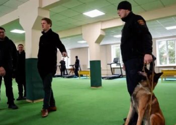 Норвегия предоставит почти $3 млн на гуманитарное разминирование в Украине