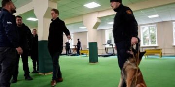 Норвегия предоставит почти $3 млн на гуманитарное разминирование в Украине