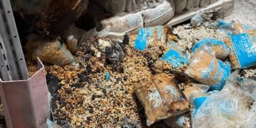 Российский шахед попал в склад Всемирной продовольственной программы ООН в Днепре: видео