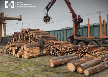 Бюро экономических расследований разоблачило схему контрабанды 17 вагонов деловой древесины