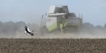 Фермер из Херсонской области первым получил почти 5 млн грн компенсации за разминирование