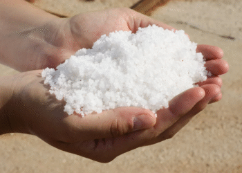 В Одесской области строят завод по производству соли: хотят покрыть 50% потребностей рынка