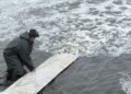 «Инвестиция в продбезопасность». В Кременчугское водохранилище выпустили 18,5 т толстолоба