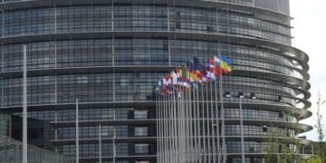 Украинские экспортеры получат еще год на подготовку к выполнению требований регламента EUDR