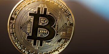 CEO Bitwise: Не нужно бояться медвежьего тренда