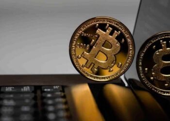 В CryptoQuant объяснили снижение активности «биткоин-креветок»