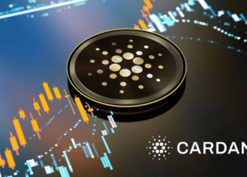 Почему киты закупаются Cardano