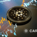 Почему киты закупаются Cardano