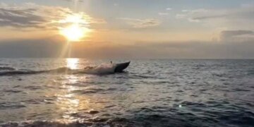 СБУ ответили Румынии, был ли потерян дроне Sea Baby