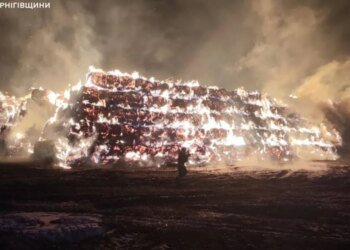 Безпілотники РФ вдарили по фермах і приватних будинках на Чернігівщині