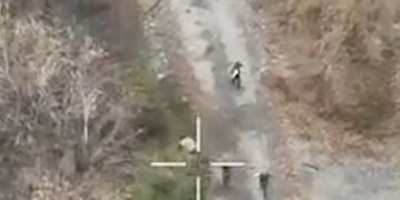 Украинские морпехи под Мирноградом берут оккупантов в плен группами. ВИДЕО