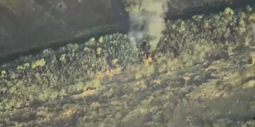 Бойцы уничтожили группу россиян, которые хотели закрепиться возле железной дороги под Покровском. ВИДЕО