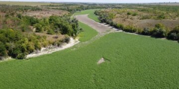 Оккупанты нашли кратчайший путь в Запорожье и пытаются там прорваться, — СМИ