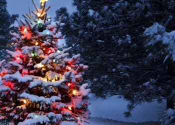 Снежный Новый год: синоптики пообещали украинцам крепкие морозы