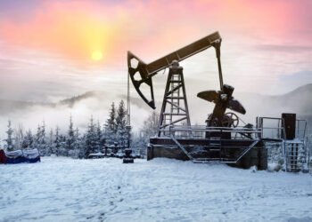 IEA оценило влияние санкций Трампа на экспорт российской нефти: падение на 5%