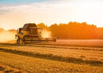 Рост экономики Украины в третьем квартале ускорился до 2,1%