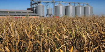 Урожай в Украине лучше, чем в прошлом году, но с его экспортом возможны проблемы – УЗА