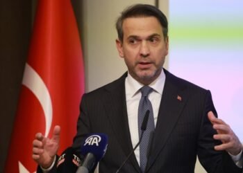 Турецкий министр: Зеленский обсуждал с Эрдоганом помощь Турции в поставках газа