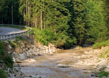 Агентство восстановления: новую дорогу в Буковель построят только после войны