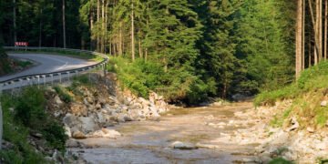 Агентство восстановления: новую дорогу в Буковель построят только после войны