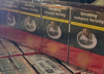 На Закарпатье изъяли 36 000 пачек сигарет: ввозили как «гуманитарку» для ВСУ – фото