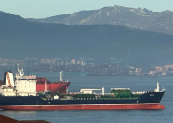 ВМС ВСУ: Россия ударила по турецкому судну, которое шло по зерновому коридору – видео