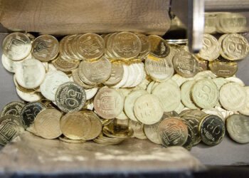 Профильный комитет рекомендовал Раде поддержать переименование копейки в шаг