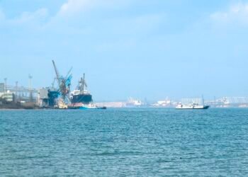 Акваторию крупнейшего порта Украины залило растительным маслом после российских обстрелов