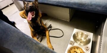 УЗ переоборудовала 100 нерабочих вагонов в «вагоны несокрушимости» со Starlink и обогревом – фото