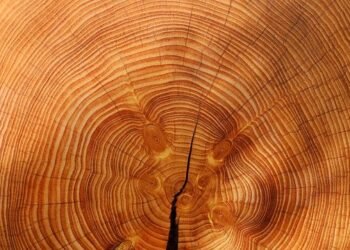 Кабмин продлил ограничения экспорта леса и металлолома до конца 2026 г.