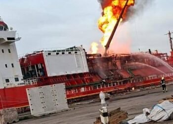 Усиление защиты портов является стратегическим для работы агросектора в 2026г. — ВАР